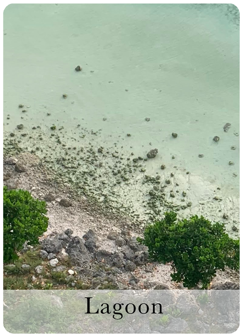 Lagoon