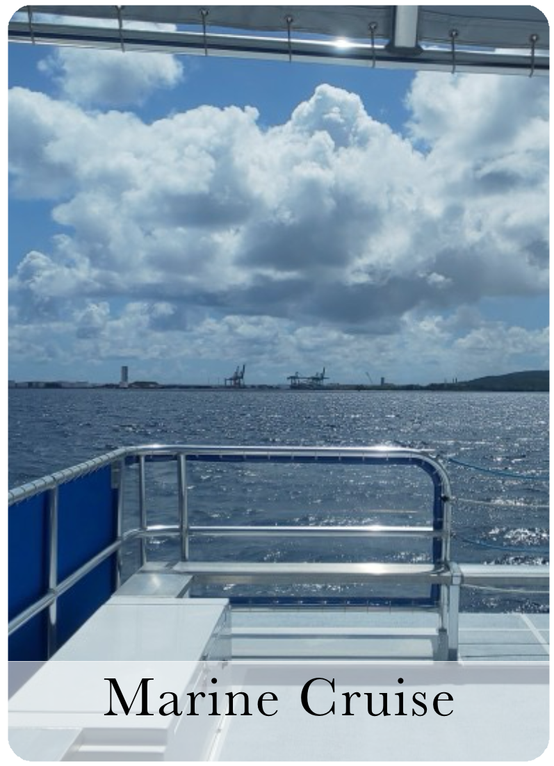 Marine Cruise
