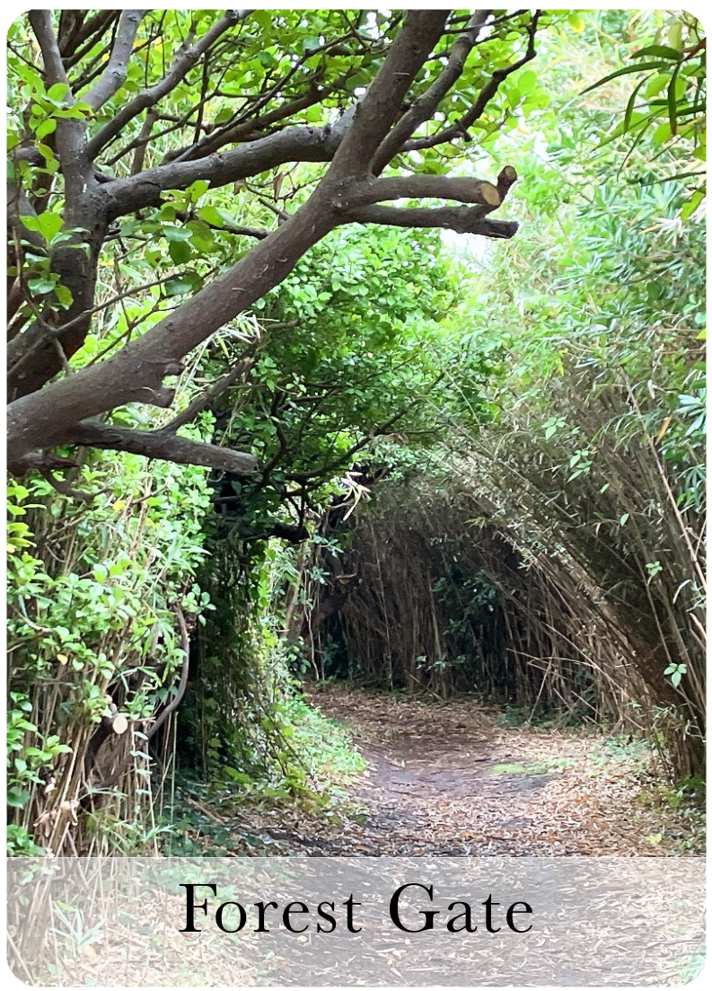 Forest Gate